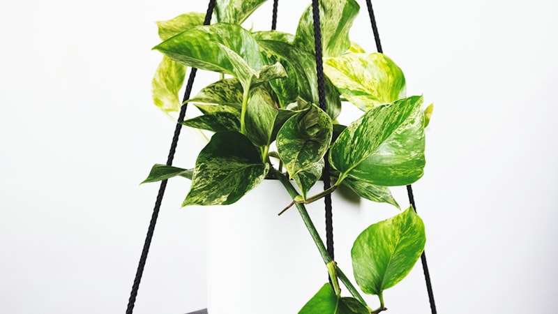 各国家队备战世界杯训练场景及战术讨论图片